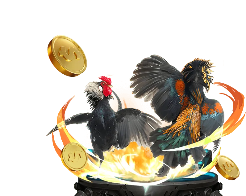 Ưu đãi chào mừng đá gà